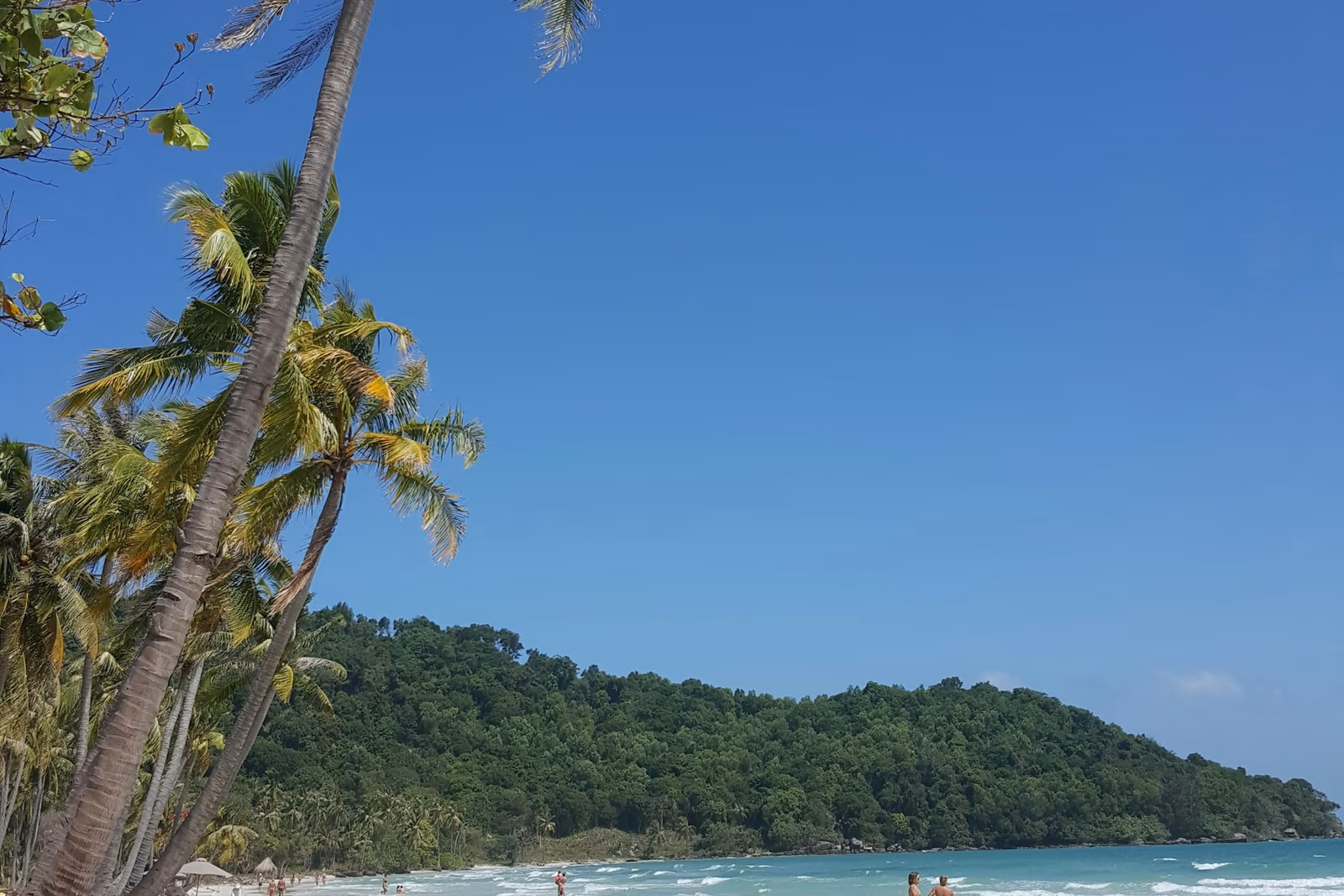 Plage bordée de palmiers et forêt tropicale à Phú Quốc