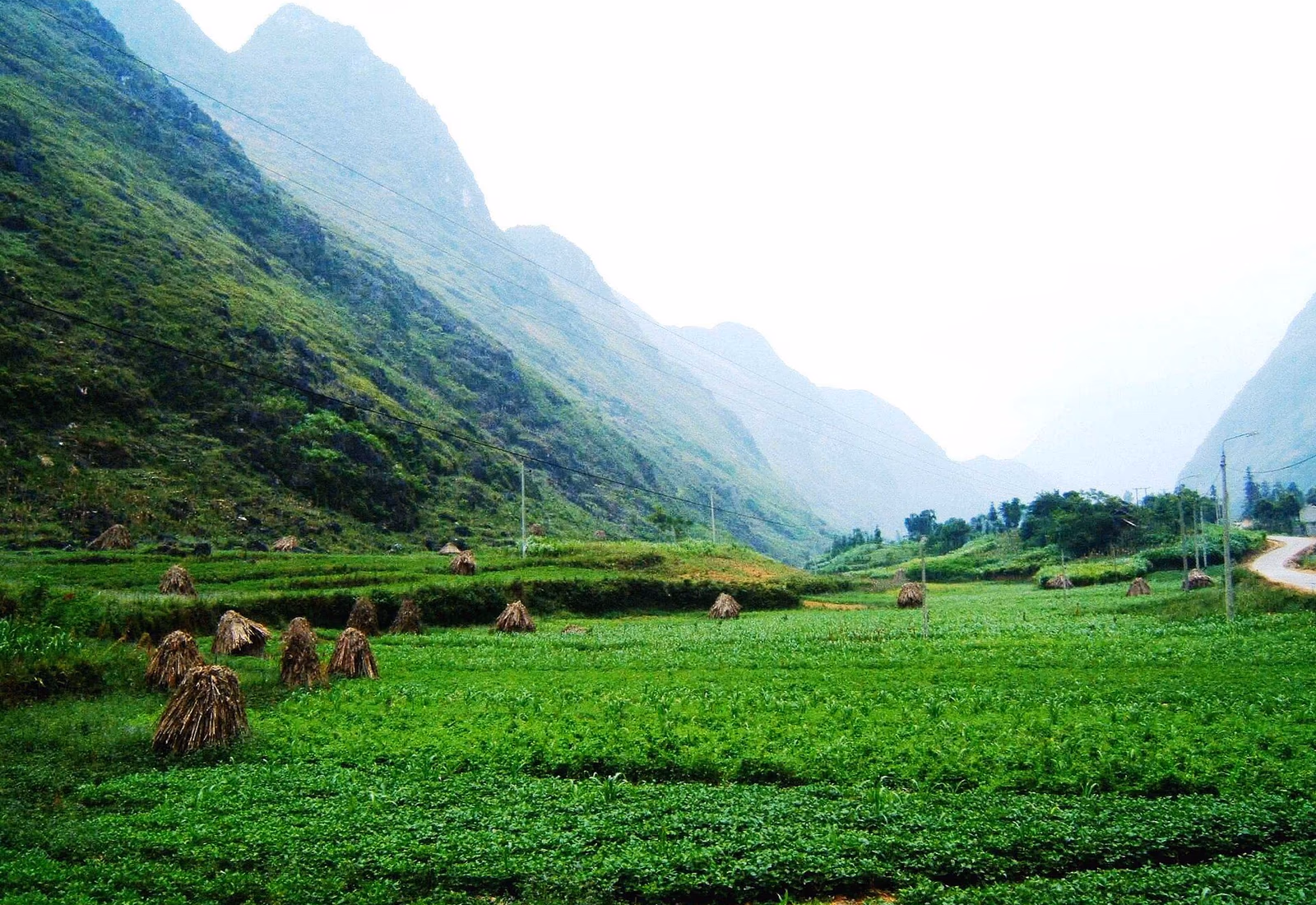Route sinueuse entre reliefs et vallées cultivées de Hà Giang