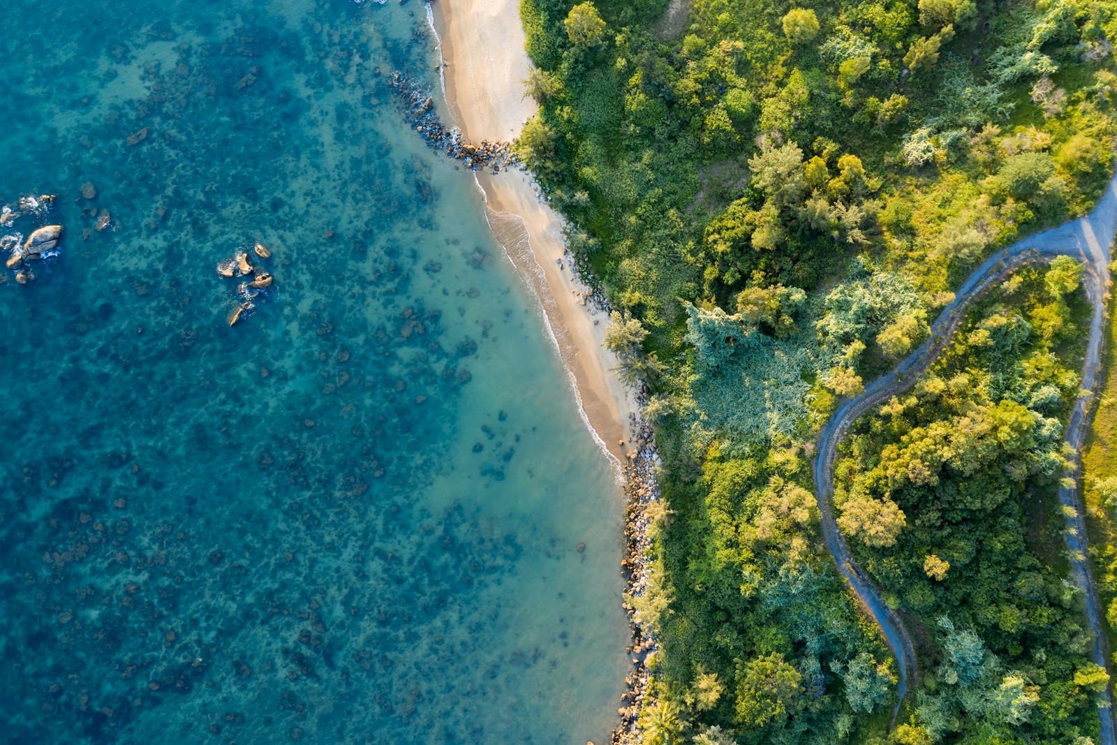 Plage et péninsule boisée vues du ciel à Đà Nẵng