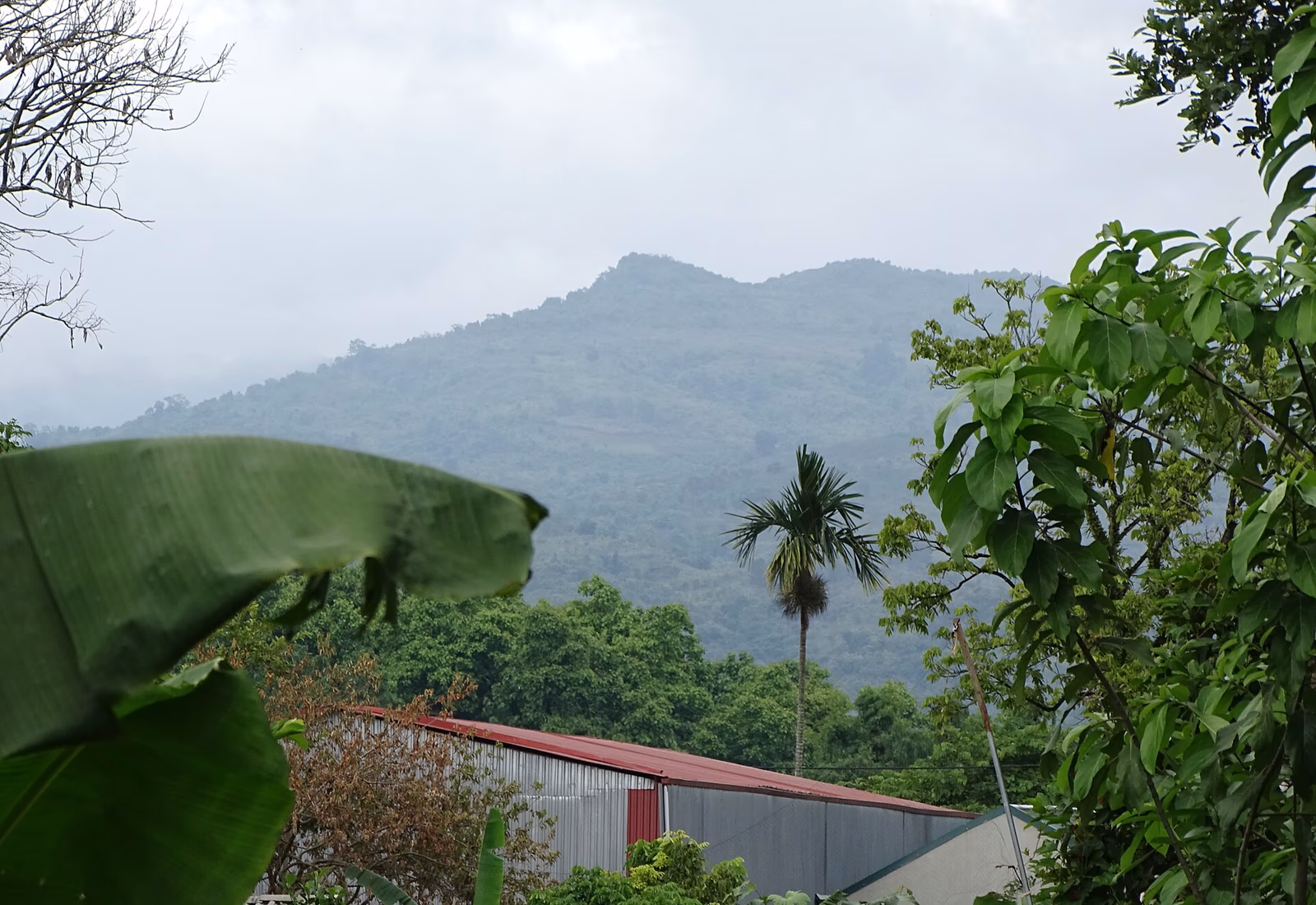 Rizières et montagnes autour de la cuvette de Điện Biên