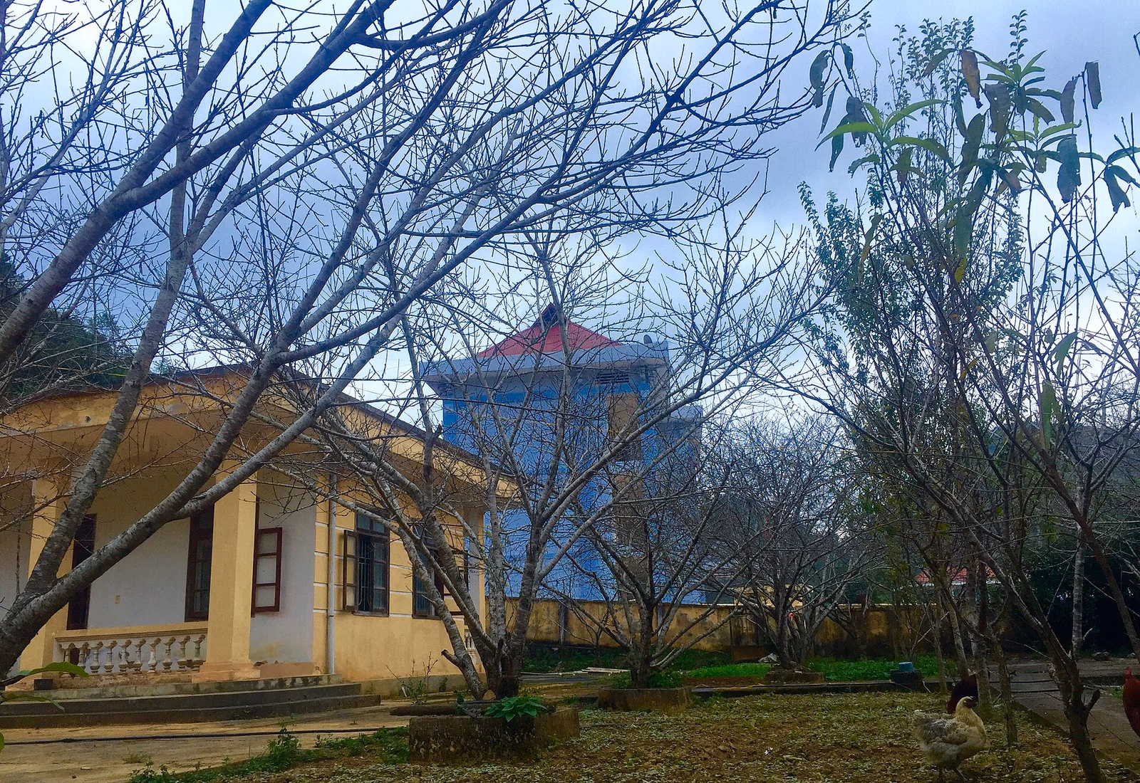 Maison de montagne entourée de reliefs brumeux près de Lũng Cú et Đồng Văn