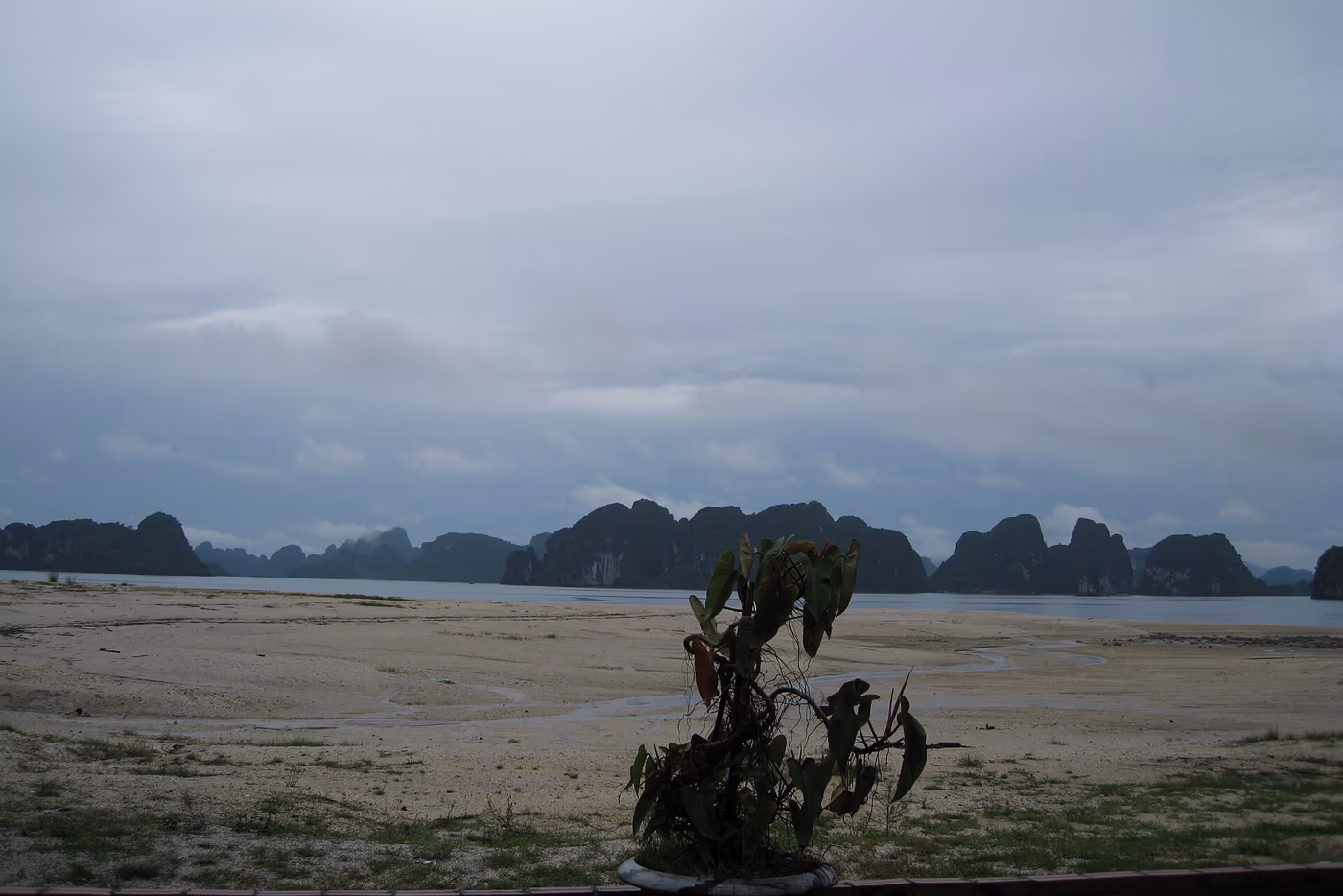 Mer et îlots de la baie de Bái Tử Long vus depuis une plage de Quan Lạn