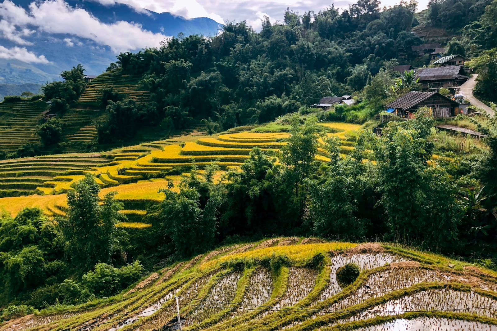 Pagodes et escaliers sur les hauteurs du massif du Fansipan